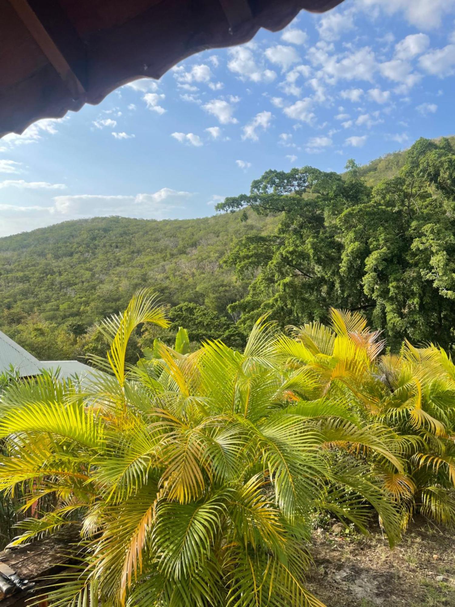 L'Escapade Naturelle Pointe-Noire Bagian luar foto