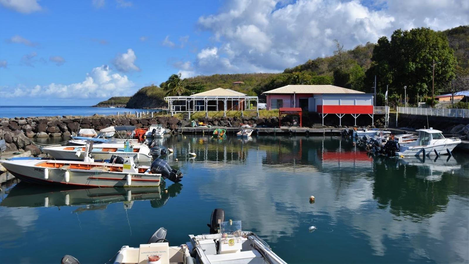 L'Escapade Naturelle Pointe-Noire Bagian luar foto