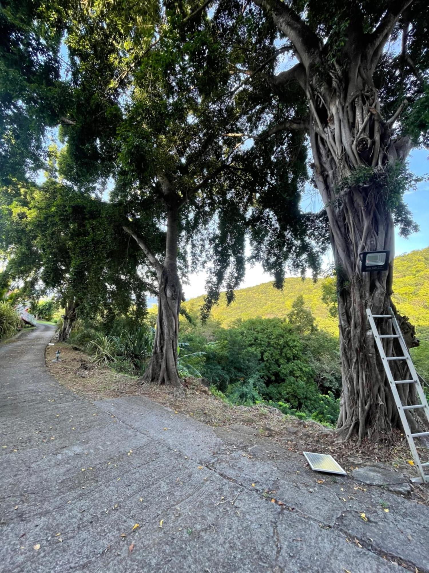 L'Escapade Naturelle Pointe-Noire Bagian luar foto